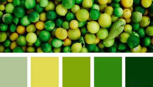 Что такое салатовый цвет и как он отличается от других оттенков зеленого. Какие бывают оттенки у зеленого цвета