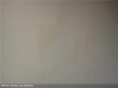 Можно ли клеить обои на ОСБ без шпаклевки. Подходит ли ОСБ для облицовки обоями