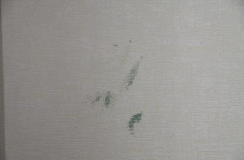 Чем обработать стены, чтобы не просвечивали обои. 3 причины возникновения проблем