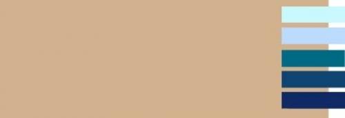 Бежевый цвет стен сочетается. С какими цветами сочетается бежевый?