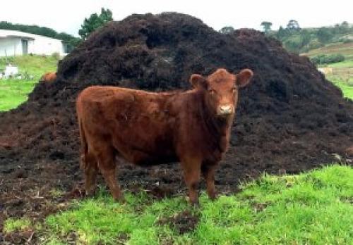 Органическое земледелие это. Методы органического сельского хозяйства
