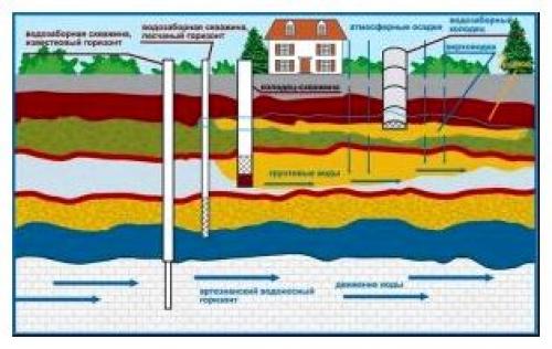 Абиссинская скважина, что это такое. Как определить, что почва подходит для абиссинки 01