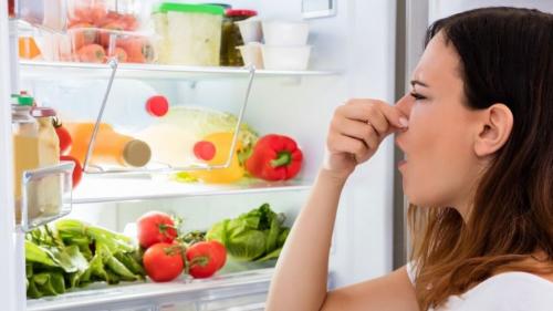 Можно ли использовать ароматизаторы для устранения запаха в холодильнике. Ароматизатор для холодильника. Поглотитель запахов