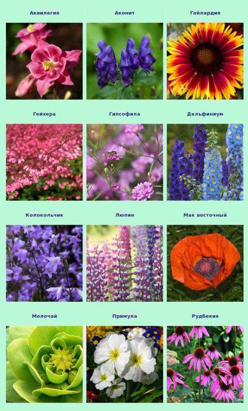 Что делать в сентябре. Идеи дел на осень для тех, кто любит готовить и кушать 03 Что делать в сентябре. Идеи дел на осень для тех, кто любит готовить и кушать 03