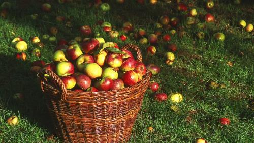 Что делать в сентябре. Идеи дел на осень для тех, кто любит готовить и кушать 12 Что делать в сентябре. Идеи дел на осень для тех, кто любит готовить и кушать 12