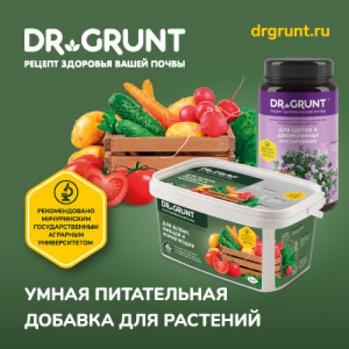 Что посадить в сентябре украина. Топ-10 вариантов, что можно и нужно посадить в сентябре 2022 года в огороде