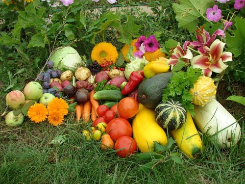 Что делать в сентябре. Идеи дел на осень для тех, кто любит готовить и кушать 11 Что делать в сентябре. Идеи дел на осень для тех, кто любит готовить и кушать 11