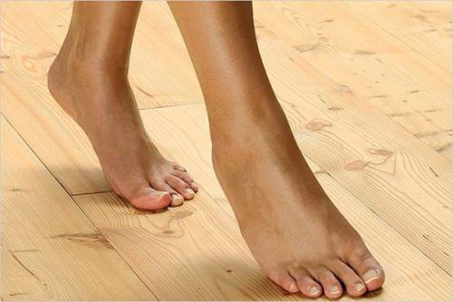 Как избежать скрипа и шаткости чернового пола на лагах. Почему скрипят полы