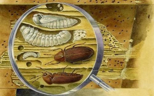 Как сделать лаги для пола своими руками: пошаговая инструкция 13 Как сделать лаги для пола своими руками: пошаговая инструкция 13