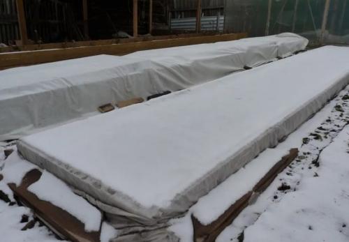 Какие цветы можно посадить осенью дома. 12 цветов, которые можно посадить осенью под зиму + Правила посадки