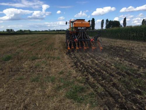 Что посадить осенью от сорняков. Технология посева