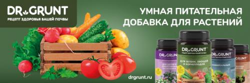 Какие деревья сажают осенью. Все про осеннюю посадку плодовых деревьев и кустарников: полный разбор