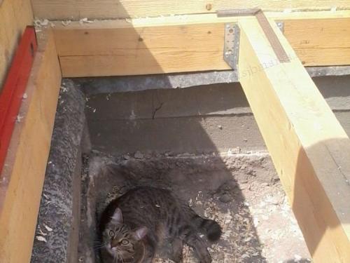 Половая доска по лагам: мой проверенный метод укладки 06