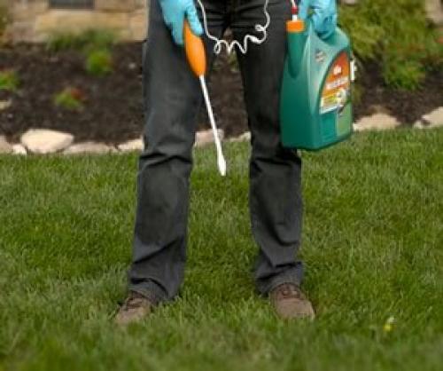 Влияет ли качество почвы на приживаемость рулонного газона. Правильная подготовка почвы для рулонного газона