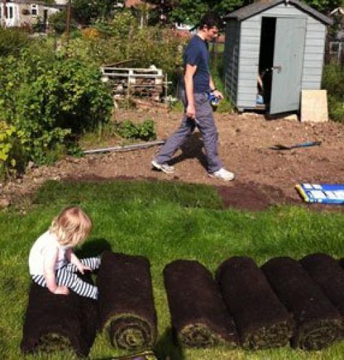 Влияет ли качество почвы на приживаемость рулонного газона. Правильная подготовка почвы для рулонного газона