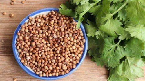 Какие продукты могут помочь в борьбе с неприятными запахами. Кориандр и другие: натуральные средства, которые могут перебить неприятный запах