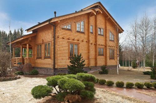 Какой вид дерева лучше всего подходит для строительства деревянного дома. Правильный выбор материала для возведения деревянного дома