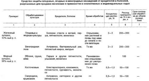 Универсальное средство для опрыскивания плодовых деревьев. Средства: Чем опрыскать сад весной?