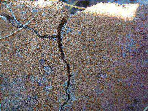 Опасны ли усадочные трещины в фундаменте. Чем грозят трещины в фундаменте и как их заделать