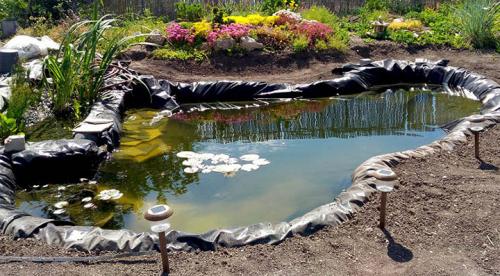 Пруд своими руками из пленки. Маленький мини пруд из полиэтилена, как способ облагородить участок