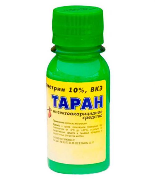 Чем обработать участок от клещей безопасно для собаки. Обработка участка от клещей: ТОП-10 средств для обработки дачи