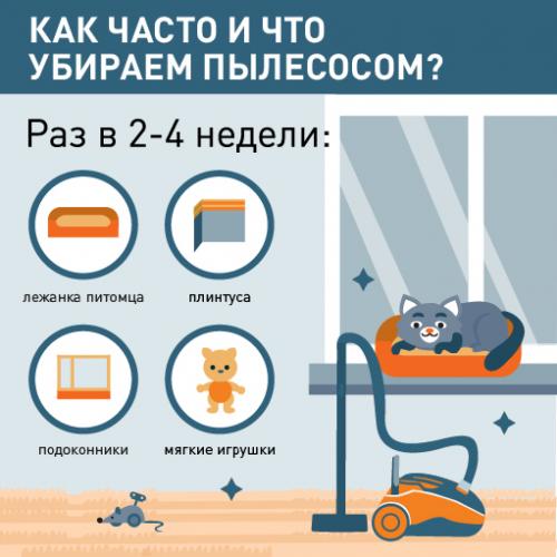 Как часто нужно мыть окна моющим пылесосом для поддержания чистоты. Как часто и что убираем пылесосом. Чек-лист