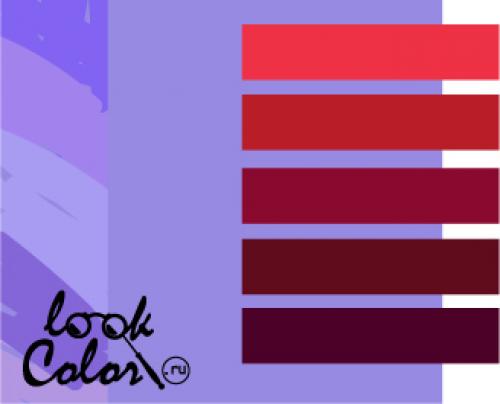 Лавандовый цвет в интерьере: 10 идеальных сочетаний 01