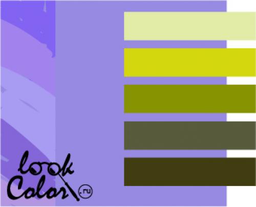 С какими цветами сочетается сиреневый: советы по созданию гармоничного интерьера 04 С какими цветами сочетается сиреневый: советы по созданию гармоничного интерьера 04