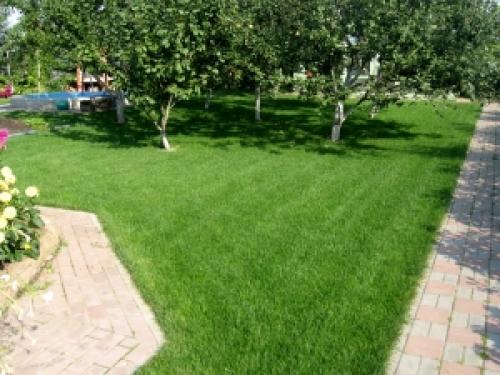 Разбираемся, какой газон лучше всего подойдет для вашей дачи 05 Разбираемся, какой газон лучше всего подойдет для вашей дачи 05