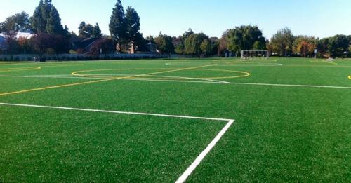 Какой газон можно посадить на даче, если в саду часто гуляют дети или домашние животные. Какой газон лучше посадить на даче: описание и виды трав