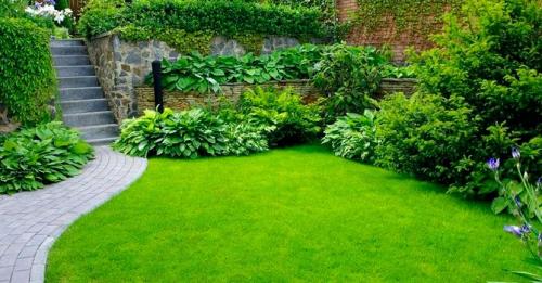 Какой газон можно посадить на даче, если в саду часто гуляют дети или домашние животные. Какой газон лучше посадить на даче: описание и виды трав