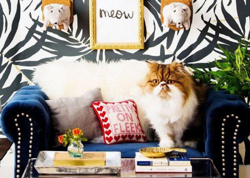 Как подобрать цвет обоев. Какого цвета выбрать обои для стен? 04 Как подобрать цвет обоев. Какого цвета выбрать обои для стен? 04