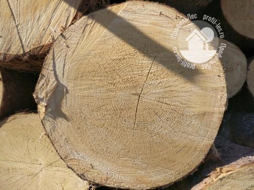 Сухой профилированный брус камерной сушки. Сухой профилированный брус 03 Сухой профилированный брус камерной сушки. Сухой профилированный брус 03