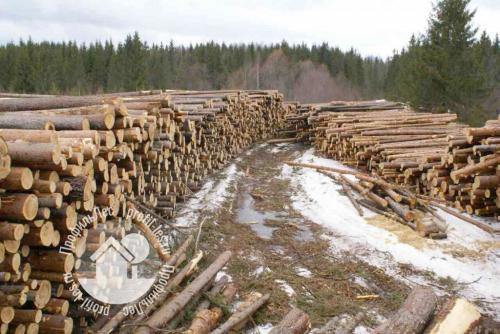 Сухой профилированный брус камерной сушки. Сухой профилированный брус 04 Сухой профилированный брус камерной сушки. Сухой профилированный брус 04