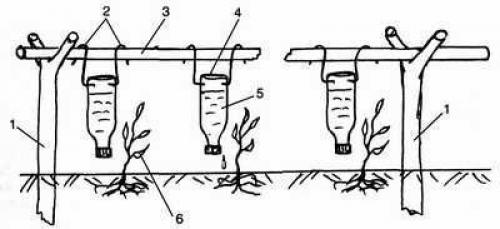 Капельный полив через трубы и из пластиковых бутылок. 01