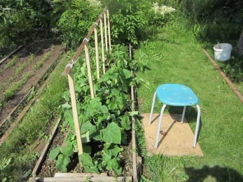 Для тех, у кого нет теплицы. 04