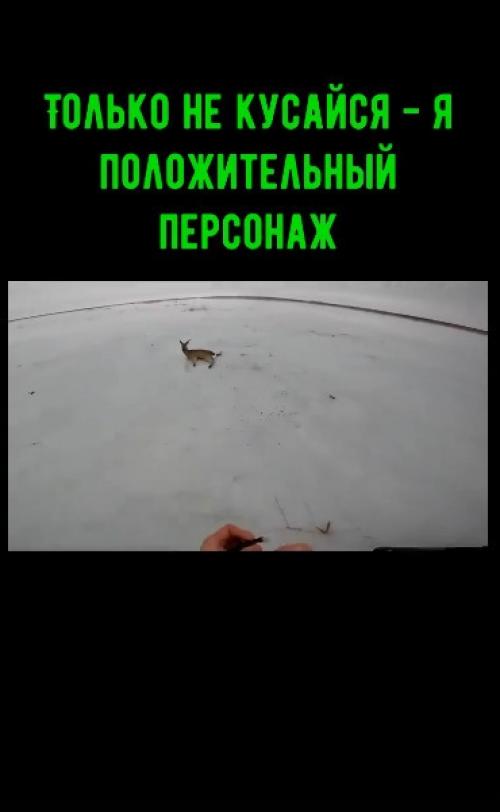 Только не Кусайся - я Положительный Персонаж. 01