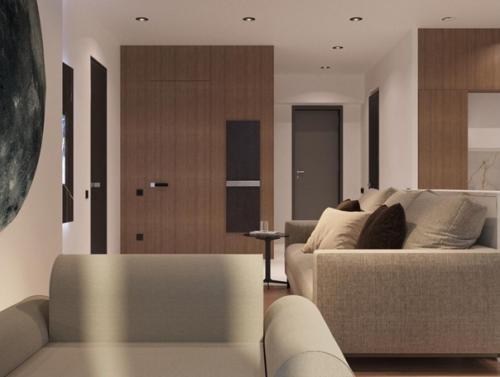 Современных гостиных много не бывает. 05