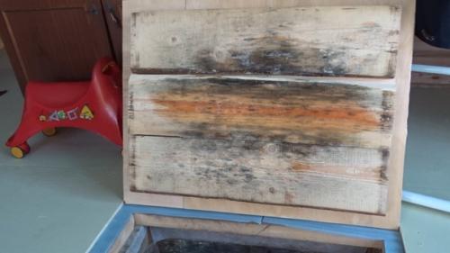 В прошлом году после заезда в дом столкнулся с проблемой влаги в подполье. 03