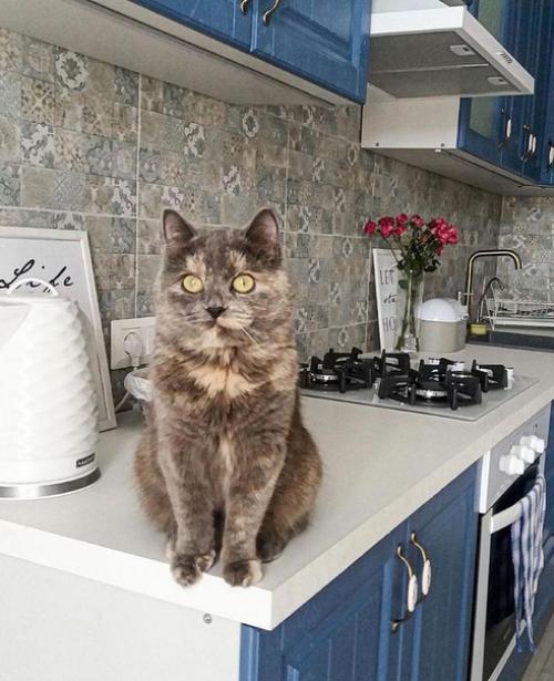 До и после. 05