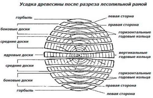 Деформация дерева и внутреннее напряжение дерева. 01 Деформация дерева и внутреннее напряжение дерева. 01