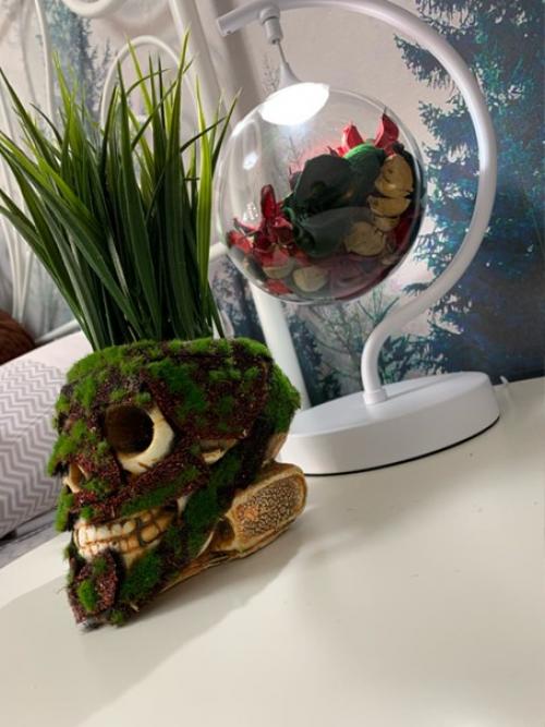 Ремонт от застройщика в новостройке вместе с девушкой переделал. 04