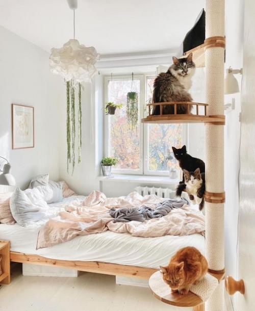 Съемная квартира, большую часть ремонта делала своими руками с очень ограниченным бюджетом. 04