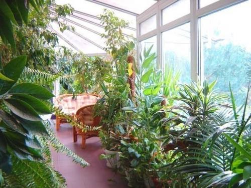 Зимний сад в доме своими руками. 06