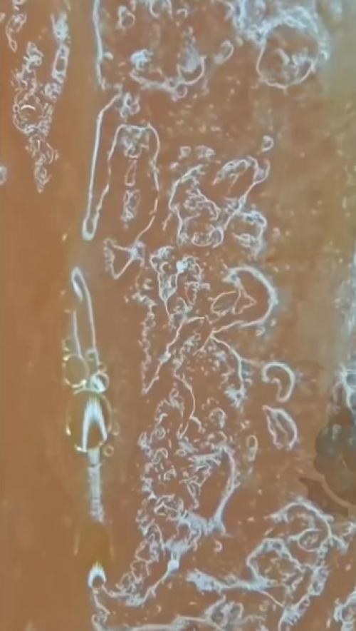 Я как раз роллы заказала! 

