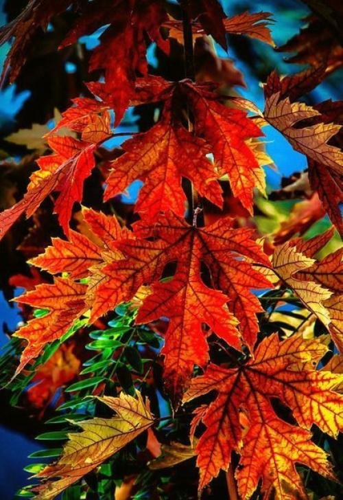 Счастья в жизни столько, сколько ты сможешь его заметить! 04