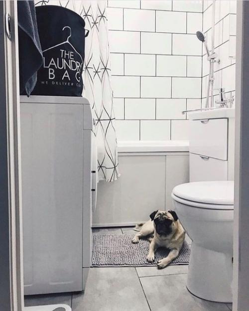 До и после. 05