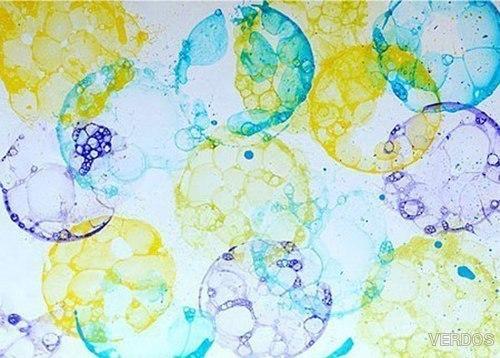 Рисунок мыльными пузырями. 02