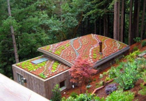 Необычный сад на крыше. 09