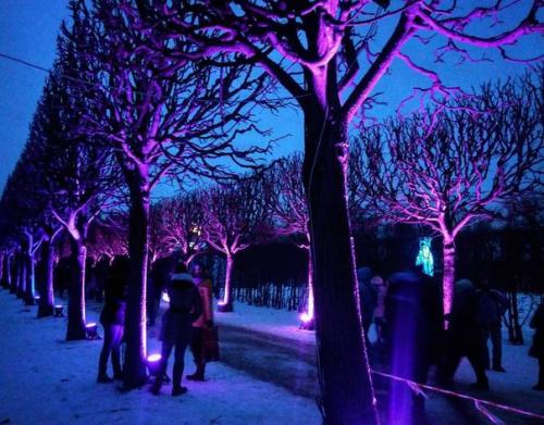 Фестиваль Зимний Вечер Света. 01